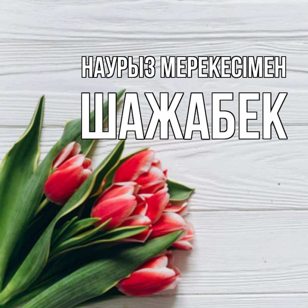 Күн сайын ашық хат с именем, ШАЖАБЕК Наурыз мерекесімен весна 2 Онлайн тегін жүктеп алу тілектері бар керемет карта 