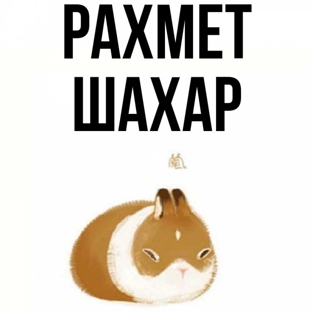 Күн сайын ашық хат с именем, ШАХАР рахмет коричнево белый домашний питомец Онлайн тегін жүктеп алу тілектері бар керемет карта 