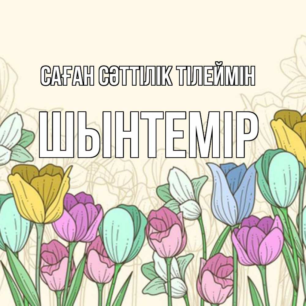 Күн сайын ашық хат с именем, ШЫНТЕМІР Саған сәттілік тілеймін тюльпаны Онлайн тегін жүктеп алу тілектері бар керемет карта 