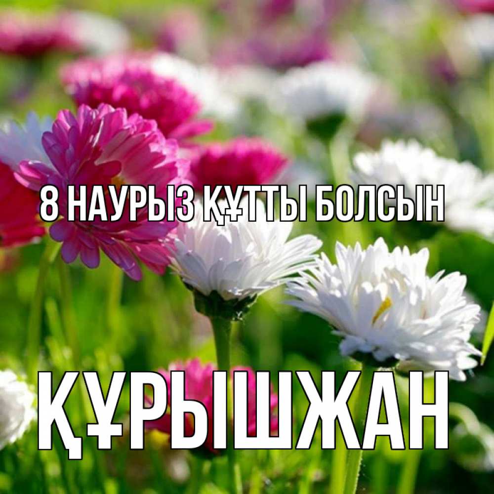 Күн сайын ашық хат с именем, ҚҰРЫШЖАН 8 наурыз құтты болсын международный женский день 1 Онлайн тегін жүктеп алу тілектері бар керемет карта 