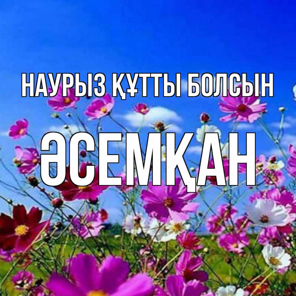 Күн сайын ашық хат с именем, ӘСЕМҚАН Наурыз құтты болсын цветы Онлайн тегін жүктеп алу тілектері бар керемет карта 