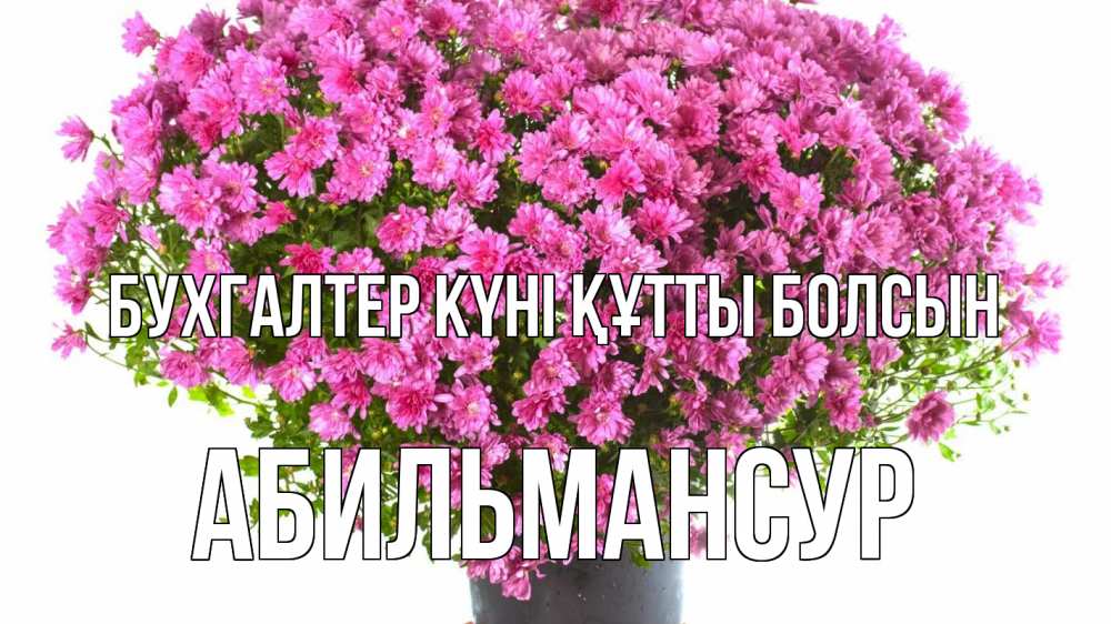 Күн сайын ашық хат с именем, Абильмансур бухгалтер күні құтты болсын с днем бухгалтера Онлайн тегін жүктеп алу тілектері бар керемет карта 