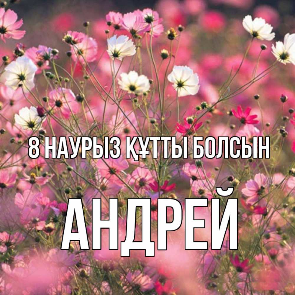 Күн сайын ашық хат с именем, Андрей 8 наурыз құтты болсын красиво 1 Онлайн тегін жүктеп алу тілектері бар керемет карта 