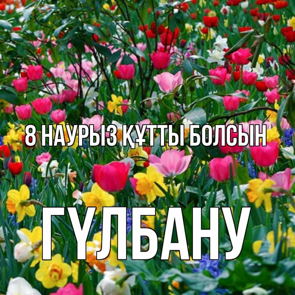 Күн сайын ашық хат с именем, ГҮЛБАНУ 8 наурыз құтты болсын с международным женским днем поздравления для женщины Онлайн тегін жүктеп алу тілектері бар керемет карта 