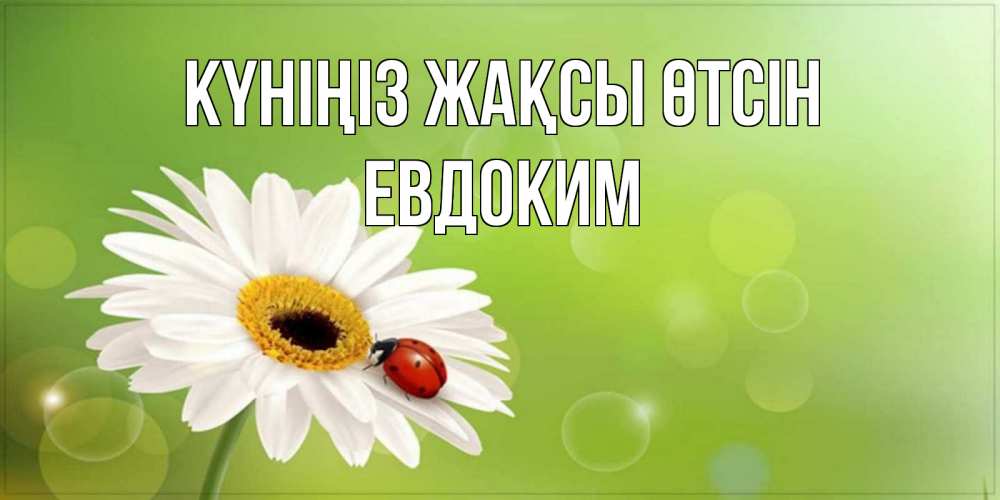 Күн сайын ашық хат с именем, Евдоким Күніңіз жақсы өтсін зеленый фон и ромашка Онлайн тегін жүктеп алу тілектері бар керемет карта 
