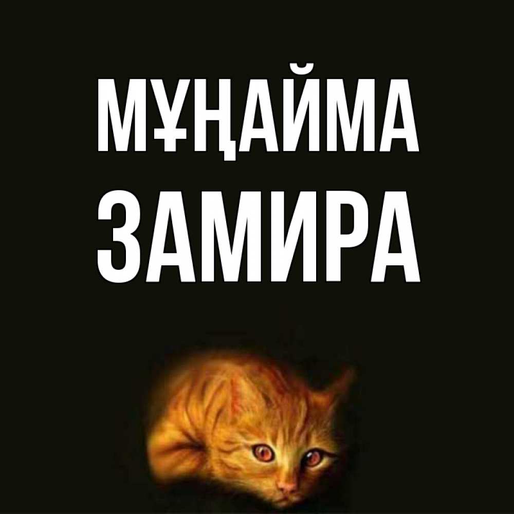 Күн сайын ашық хат с именем, ЗАМИРА Мұңайма лежащий кот в темноте Онлайн тегін жүктеп алу тілектері бар керемет карта 
