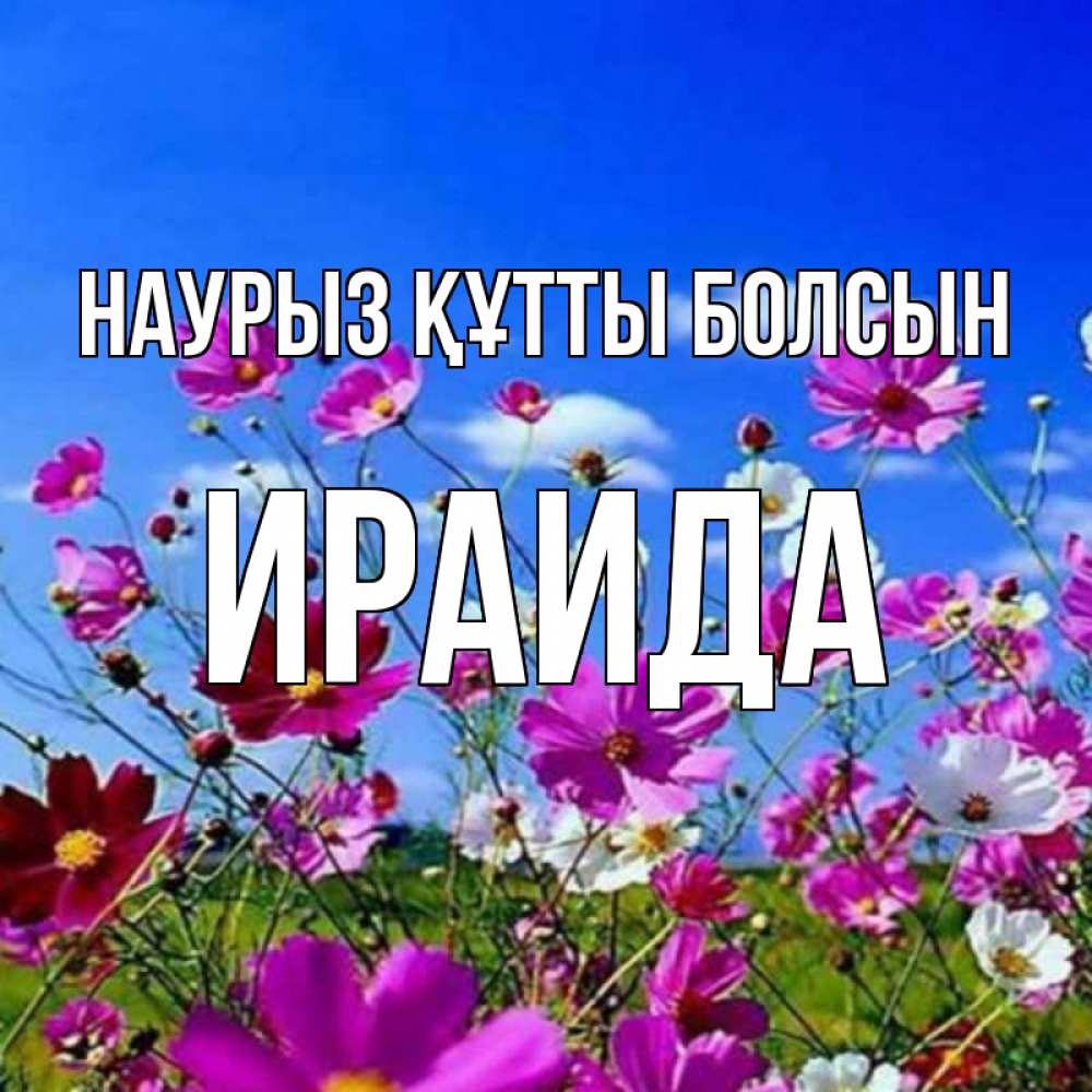 Күн сайын ашық хат с именем, Ираида Наурыз құтты болсын цветы Онлайн тегін жүктеп алу тілектері бар керемет карта 