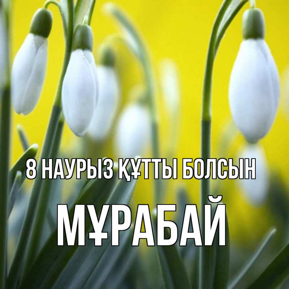 Күн сайын ашық хат с именем, МҰРАБАЙ 8 наурыз құтты болсын весенние цветы Онлайн тегін жүктеп алу тілектері бар керемет карта 