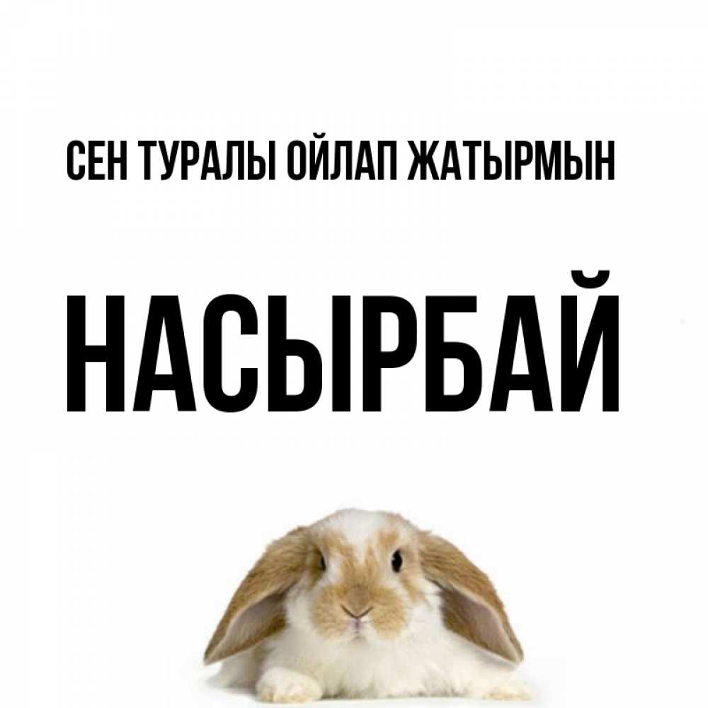 Күн сайын ашық хат с именем, Насырбай Сен туралы ойлап жатырмын подписать своими руками онлайн Онлайн тегін жүктеп алу тілектері бар керемет карта 