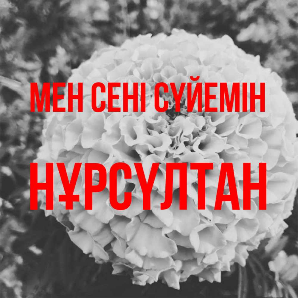 Күн сайын ашық хат с именем, НҰРСҮЛТАН Мен сені сүйемін подпись Онлайн тегін жүктеп алу тілектері бар керемет карта 