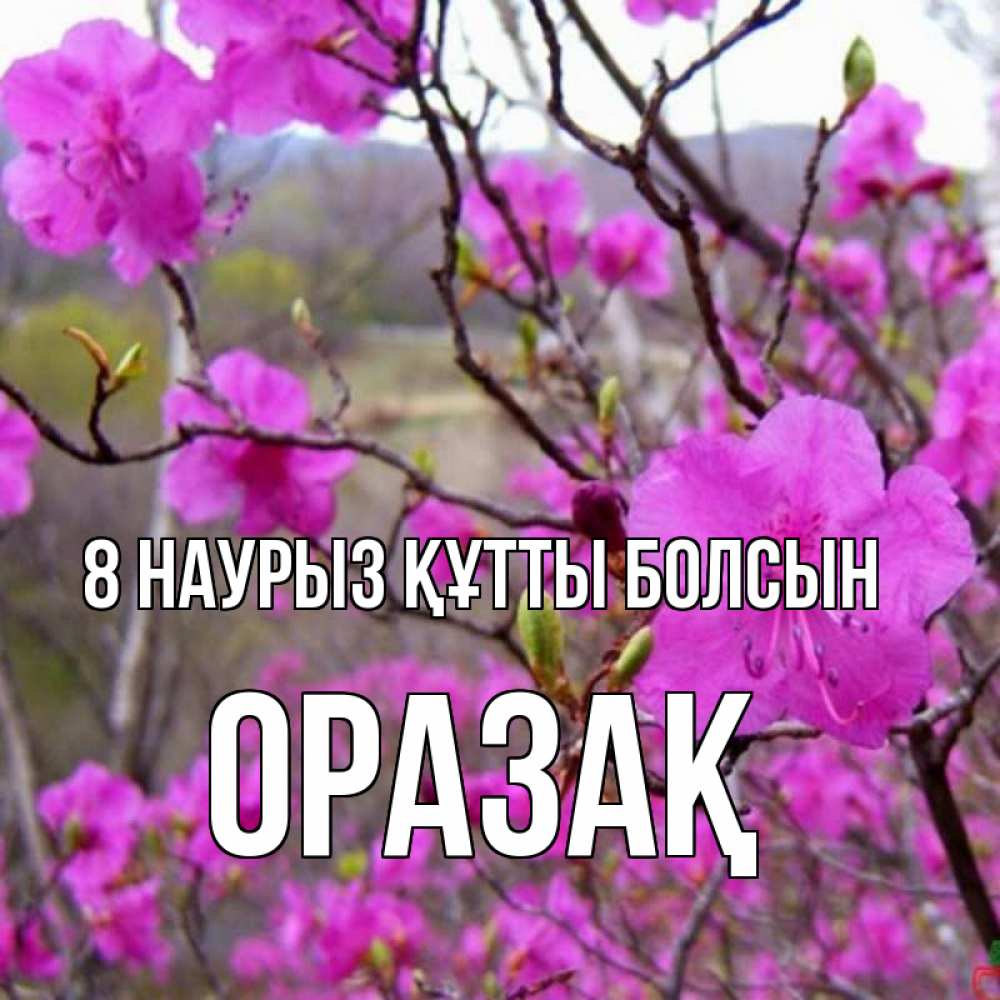 Күн сайын ашық хат с именем, ОРАЗАҚ 8 наурыз құтты болсын международный женский день Онлайн тегін жүктеп алу тілектері бар керемет карта 