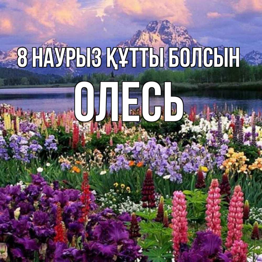 Күн сайын ашық хат с именем, Олесь 8 наурыз құтты болсын международный женский день Онлайн тегін жүктеп алу тілектері бар керемет карта 
