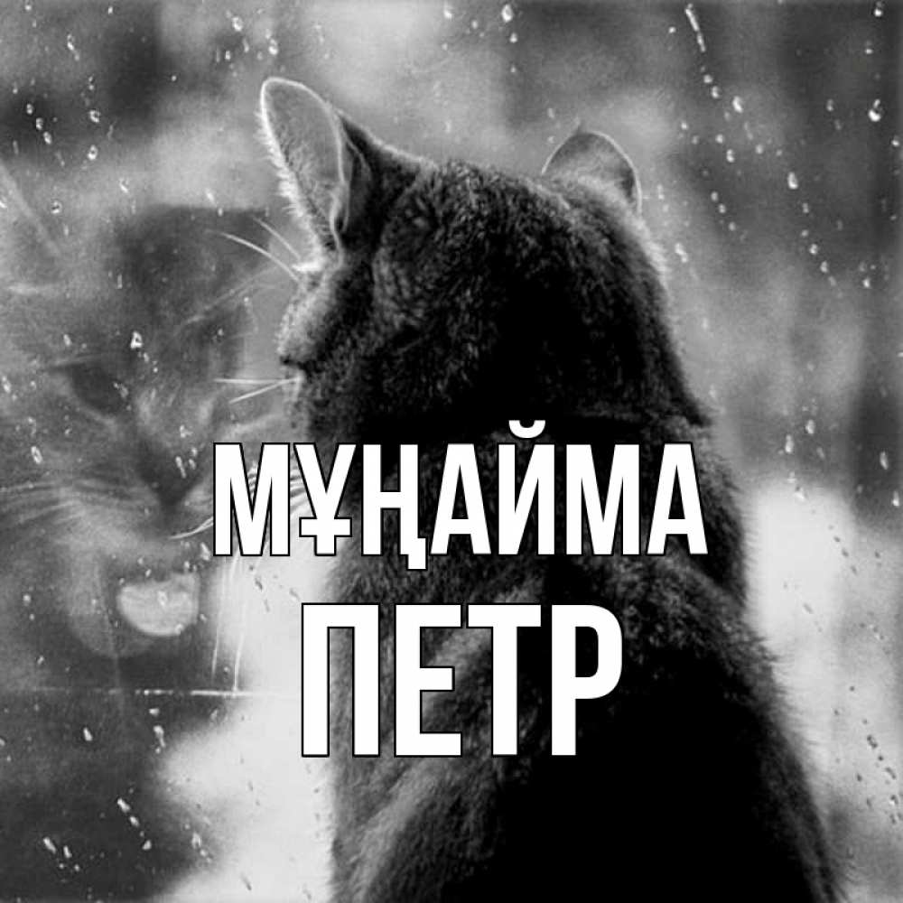 Күн сайын ашық хат с именем, Петр Мұңайма отражение кота 1 Онлайн тегін жүктеп алу тілектері бар керемет карта 