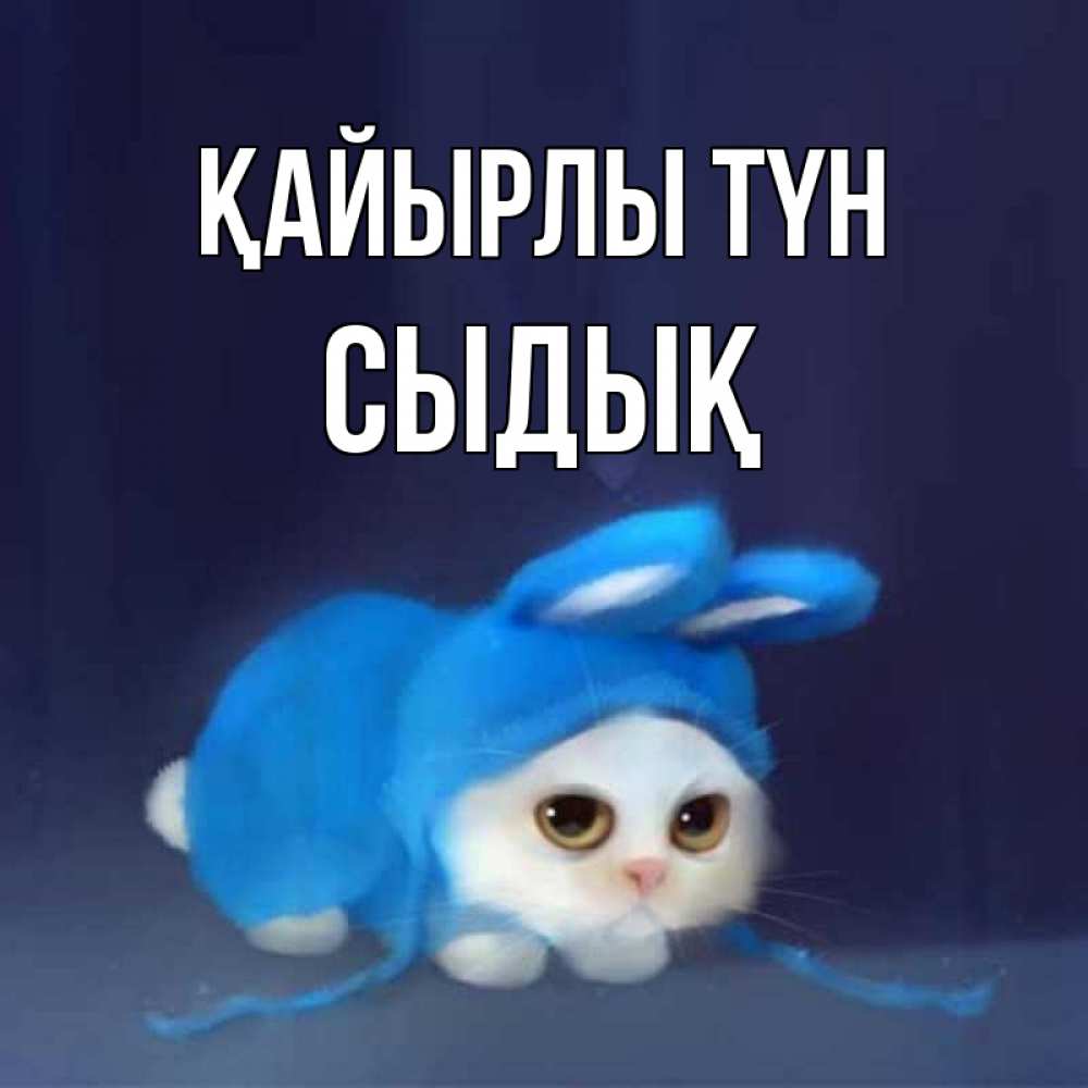 Күн сайын ашық хат с именем, СЫДЫҚ Қайырлы түн кот в голубом костюме кролика с ушками Онлайн тегін жүктеп алу тілектері бар керемет карта 