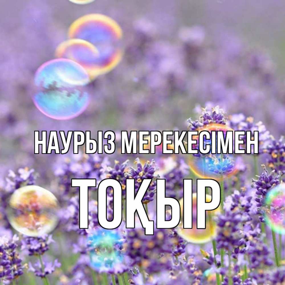 Күн сайын ашық хат с именем, ТОҚЫР Наурыз мерекесімен цветы Онлайн тегін жүктеп алу тілектері бар керемет карта 