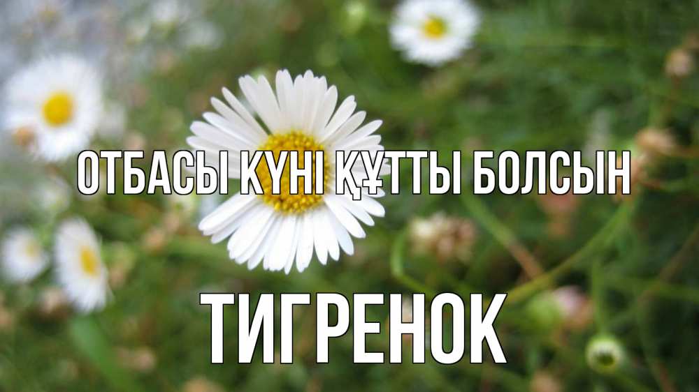 Күн сайын ашық хат с именем, Тигренок отбасы күні құтты болсын с днем семьи Онлайн тегін жүктеп алу тілектері бар керемет карта 
