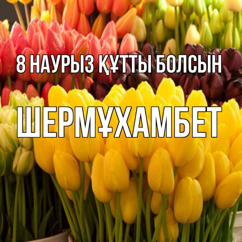 Күн сайын ашық хат с именем, ШЕРМҰХАМБЕТ 8 наурыз құтты болсын цветы Онлайн тегін жүктеп алу тілектері бар керемет карта 