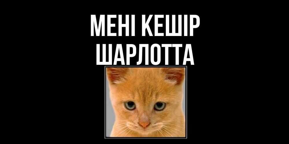 Күн сайын ашық хат с именем, Шарлотта Мені кешір рыжий грустный кот просит прощения Онлайн тегін жүктеп алу тілектері бар керемет карта 