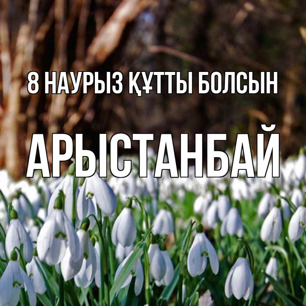 Күн сайын ашық хат с именем, Арыстанбай 8 наурыз құтты болсын с подснежниками 1 Онлайн тегін жүктеп алу тілектері бар керемет карта 