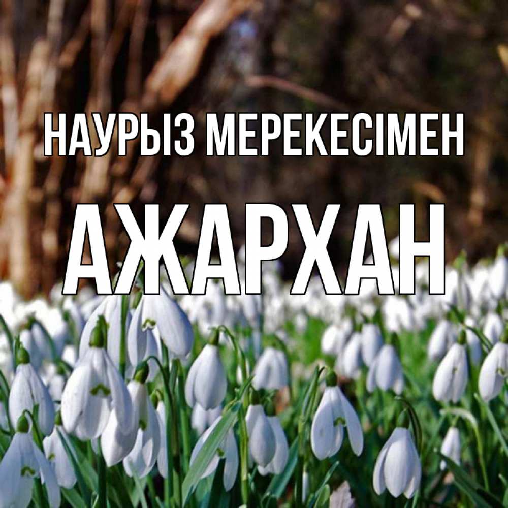 Күн сайын ашық хат с именем, АЖАРХАН Наурыз мерекесімен с подснежниками 1 Онлайн тегін жүктеп алу тілектері бар керемет карта 