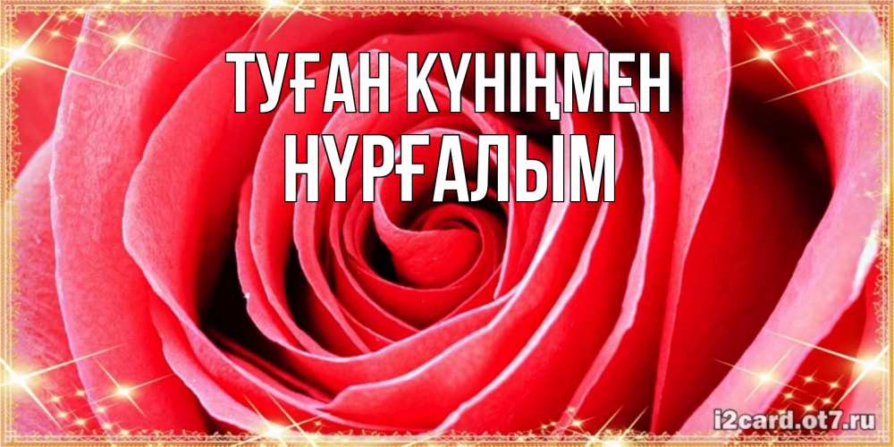 Күн сайын ашық хат с именем, НҮРҒАЛЫМ Туған күніңмен розовая роза очень крупный бутон Онлайн тегін жүктеп алу тілектері бар керемет карта 