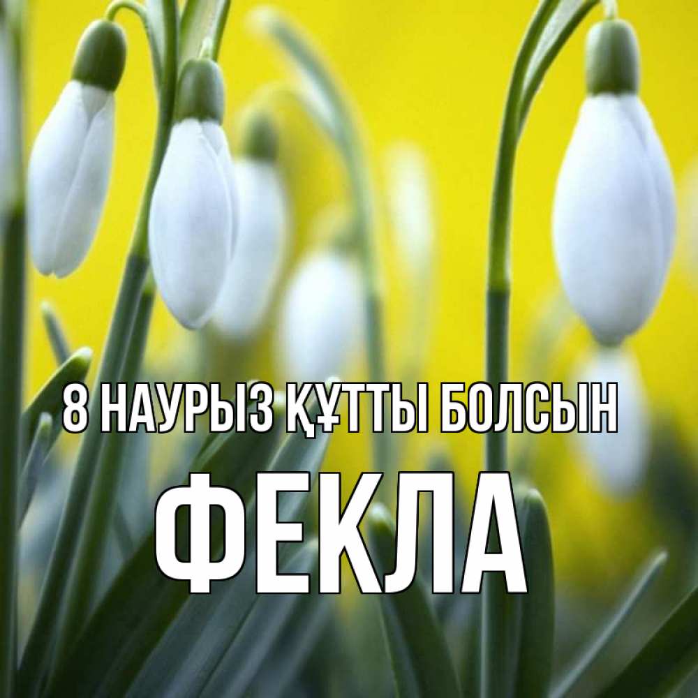 Күн сайын ашық хат с именем, Фекла 8 наурыз құтты болсын весенние цветы Онлайн тегін жүктеп алу тілектері бар керемет карта 