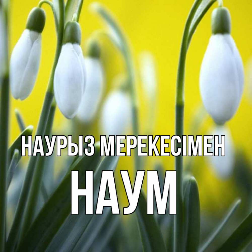 Күн сайын ашық хат с именем, Наум Наурыз мерекесімен весенние цветы Онлайн тегін жүктеп алу тілектері бар керемет карта 