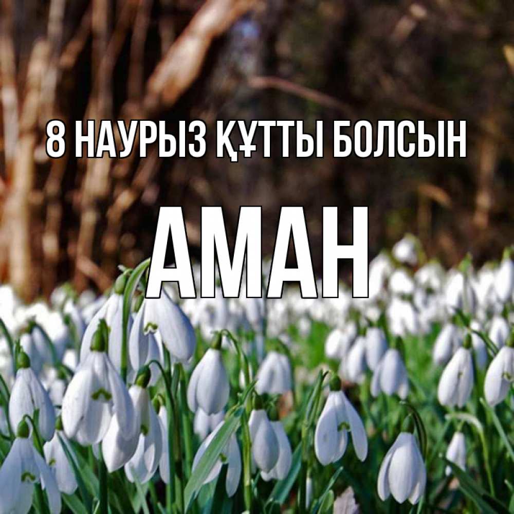 Күн сайын ашық хат с именем, Аман 8 наурыз құтты болсын с подснежниками 1 Онлайн тегін жүктеп алу тілектері бар керемет карта 