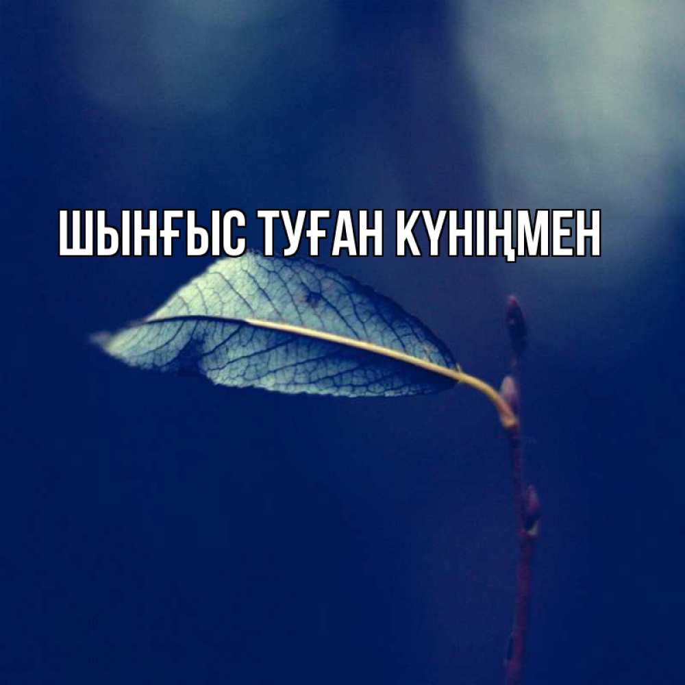 Картинка  с именем , ШЫНҒЫС! ТУҒАН КҮНІҢМЕН!