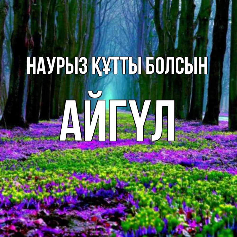 Күн сайын ашық хат с именем, АЙГҮЛ Наурыз құтты болсын фиолетовые цветы в лесу 1 Онлайн тегін жүктеп алу тілектері бар керемет карта 