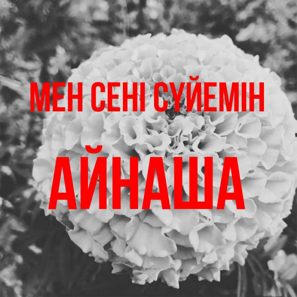Күн сайын ашық хат с именем, АЙНАША Мен сені сүйемін подпись Онлайн тегін жүктеп алу тілектері бар керемет карта 