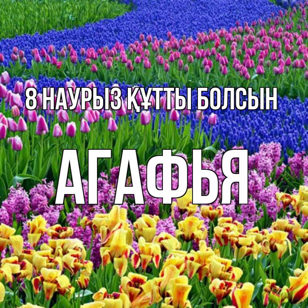 Күн сайын ашық хат с именем, Агафья 8 наурыз құтты болсын цветы Онлайн тегін жүктеп алу тілектері бар керемет карта 