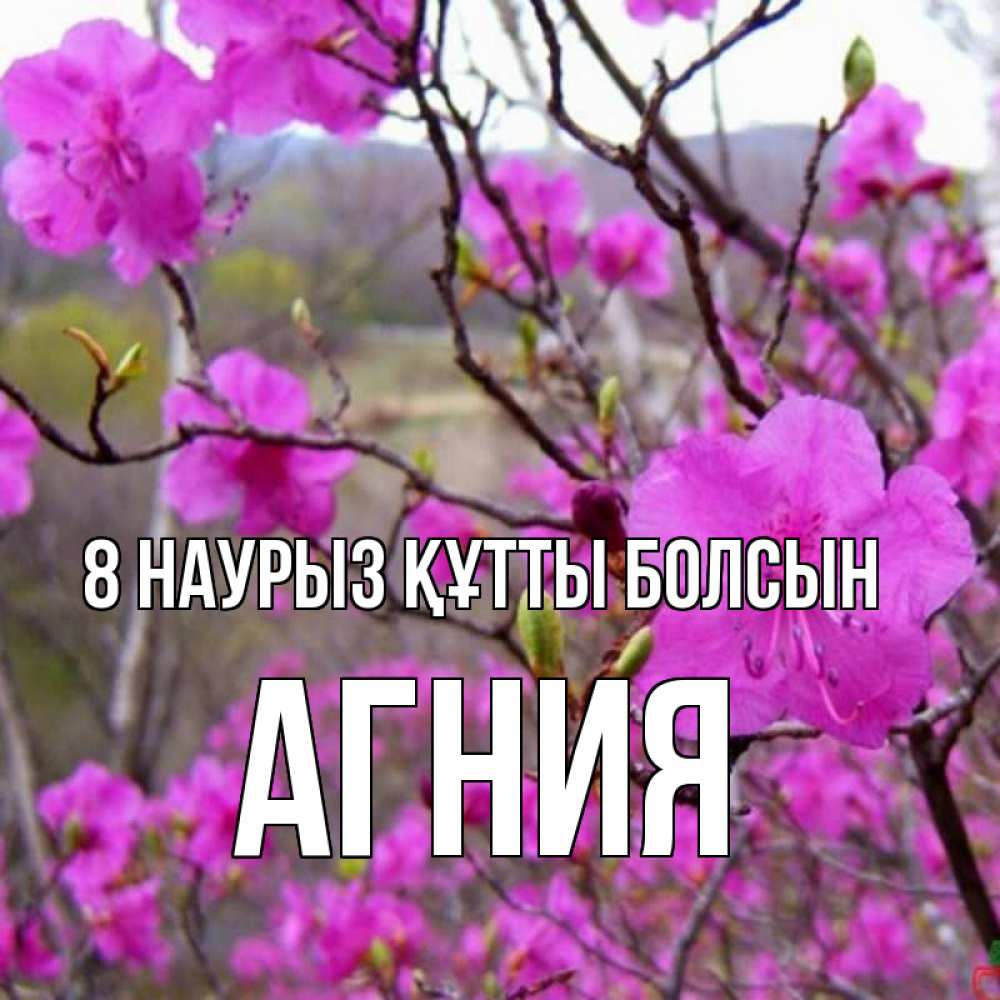 Күн сайын ашық хат с именем, Агния 8 наурыз құтты болсын международный женский день Онлайн тегін жүктеп алу тілектері бар керемет карта 