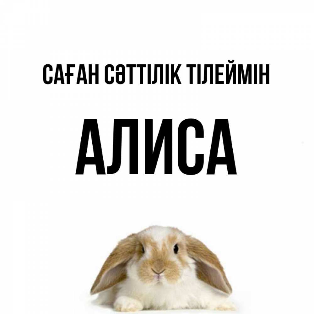 Күн сайын ашық хат с именем, Алиса Саған сәттілік тілеймін открытки с произвольным текстом который можно вставить в открытку и создать ее самостоятельно бесплатно онлайн Онлайн тегін жүктеп алу тілектері бар керемет карта 