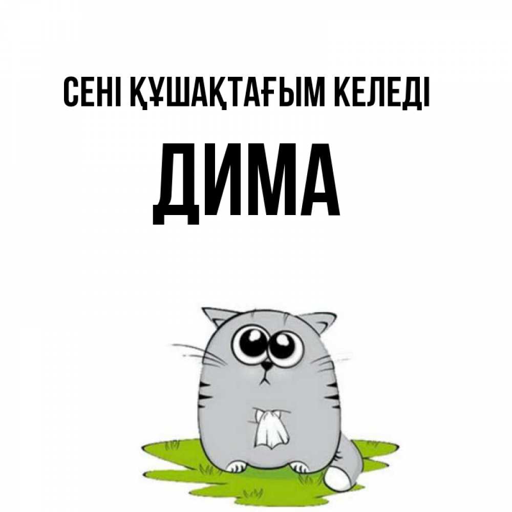 Күн сайын ашық хат с именем, Дима сені құшақтағым келеді котик теребит платочек сидя на травке Онлайн тегін жүктеп алу тілектері бар керемет карта 