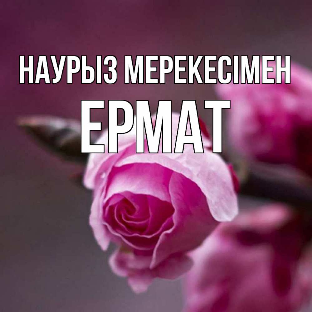 Күн сайын ашық хат с именем, Ермат Наурыз мерекесімен весна Онлайн тегін жүктеп алу тілектері бар керемет карта 