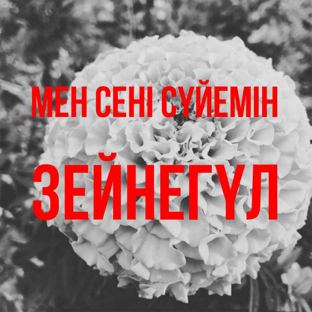 Күн сайын ашық хат с именем, ЗЕЙНЕГҮЛ Мен сені сүйемін подпись Онлайн тегін жүктеп алу тілектері бар керемет карта 