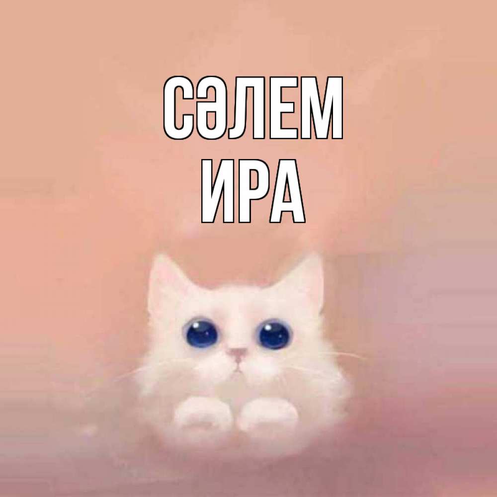 Күн сайын ашық хат с именем, Ира Сәлем котик белый в полете Онлайн тегін жүктеп алу тілектері бар керемет карта 