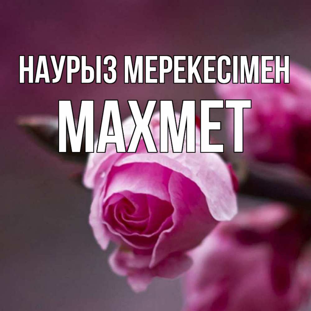 Күн сайын ашық хат с именем, МАХМЕТ Наурыз мерекесімен весна Онлайн тегін жүктеп алу тілектері бар керемет карта 