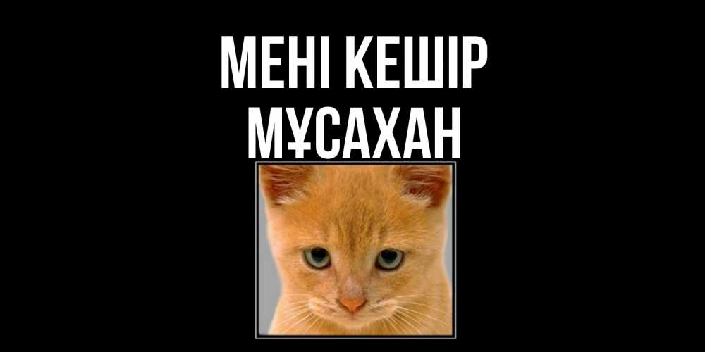 Күн сайын ашық хат с именем, Мұсахан Мені кешір рыжий грустный кот просит прощения Онлайн тегін жүктеп алу тілектері бар керемет карта 