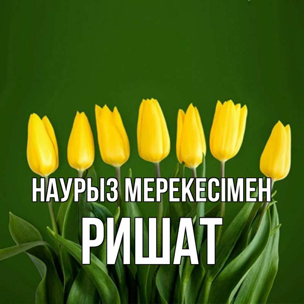 Күн сайын ашық хат с именем, РИШАТ Наурыз мерекесімен желтого цвета 3 Онлайн тегін жүктеп алу тілектері бар керемет карта 