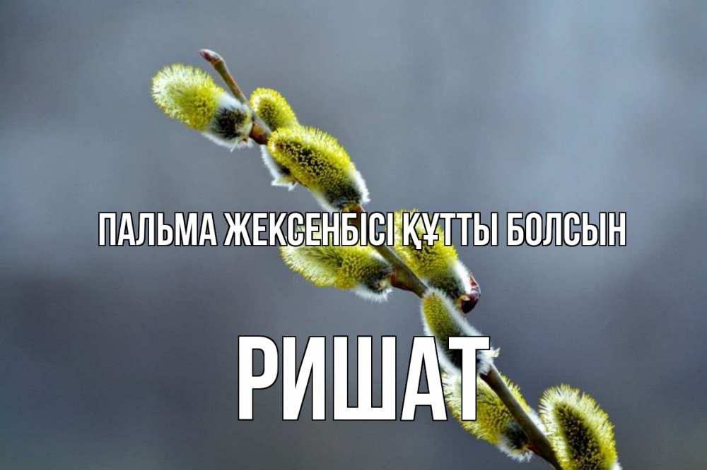 Күн сайын ашық хат с именем, РИШАТ Пальма жексенбісі құтты болсын верба Онлайн тегін жүктеп алу тілектері бар керемет карта 