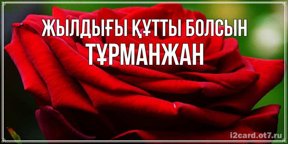 Күн сайын ашық хат с именем, ТҰРМАНЖАН Жылдығы құтты болсын розочка очень красивая Онлайн тегін жүктеп алу тілектері бар керемет карта 