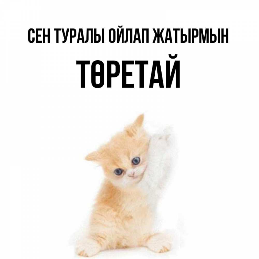Күн сайын ашық хат с именем, Төретай Сен туралы ойлап жатырмын зверушки и милота Онлайн тегін жүктеп алу тілектері бар керемет карта 