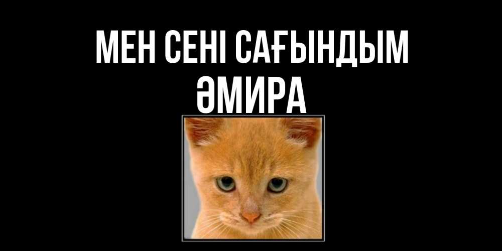 Күн сайын ашық хат с именем, ӘМИРА Мен сені сағындым открытки рыжий котенок скучает по тебе Онлайн тегін жүктеп алу тілектері бар керемет карта 