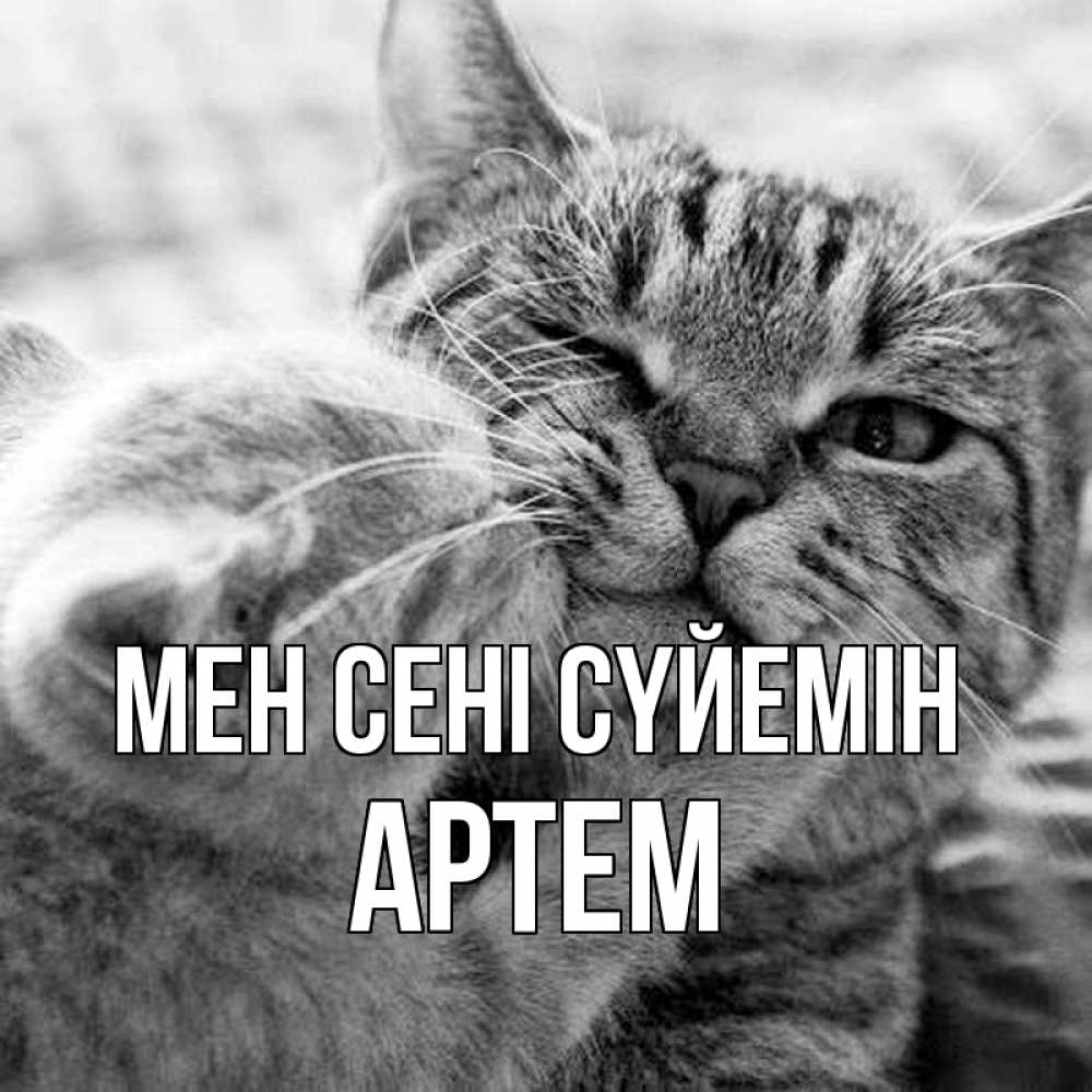 Күн сайын ашық хат с именем, Артем Мен сені сүйемін коты Онлайн тегін жүктеп алу тілектері бар керемет карта 