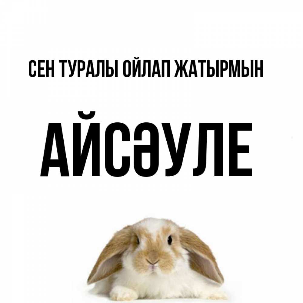 Күн сайын ашық хат с именем, АЙСӘУЛЕ Сен туралы ойлап жатырмын подписать своими руками онлайн Онлайн тегін жүктеп алу тілектері бар керемет карта 