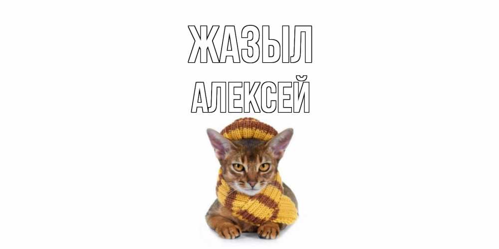 Күн сайын ашық хат с именем, Алексей Жазыл родные не болейте Онлайн тегін жүктеп алу тілектері бар керемет карта 