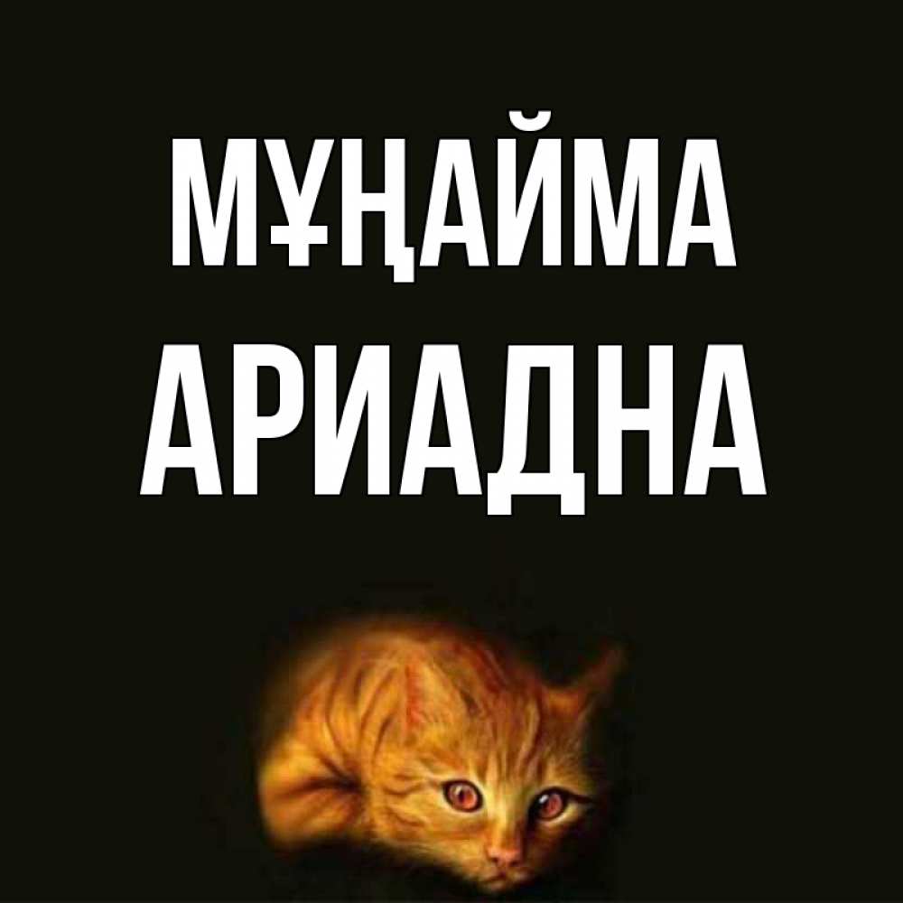 Күн сайын ашық хат с именем, Ариадна Мұңайма лежащий кот в темноте Онлайн тегін жүктеп алу тілектері бар керемет карта 