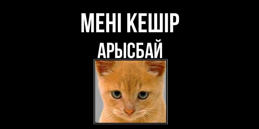 Күн сайын ашық хат с именем, Арысбай Мені кешір рыжий грустный кот просит прощения Онлайн тегін жүктеп алу тілектері бар керемет карта 